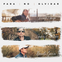 Para No Olvidar (Single)