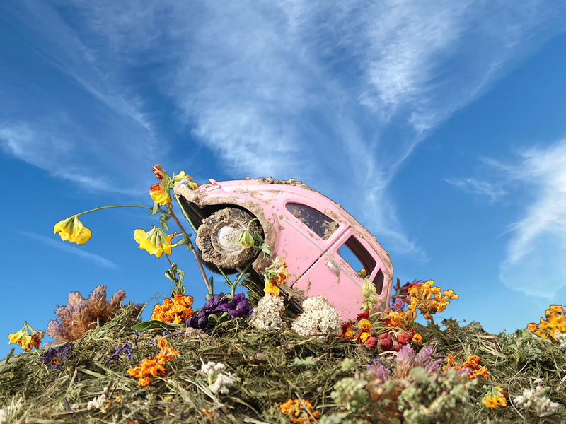 The Rise & Fall of Loverboy