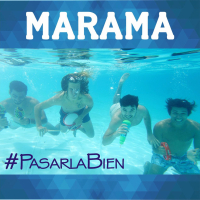 Pasarla Bien (Single)