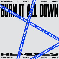 Burn It All Down (Besomorph Remix) (Single)
