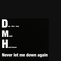 Never Let Me Down Again (Single)