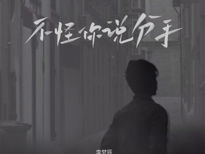 不怪你说分手 (Single)