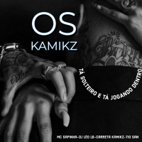 OS KAMIKZ TÁ SOLTEIRO E TÁ JOGANDO DENTRO (Single)