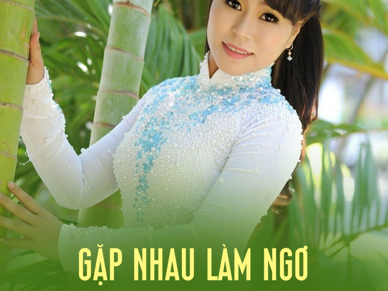 Gặp Nhau Làm Ngơ (Single)