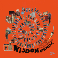 Wisdom (JINBO the SuperFreak Remix) (Single)