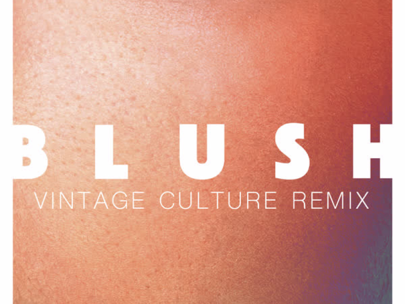 Blush (Vintage Culture Remix) (Single)