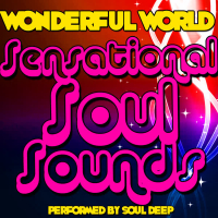 Wonderful World: Sensational Soul Sounds