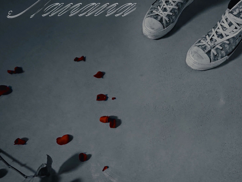 NaNaNa Remix (Single)