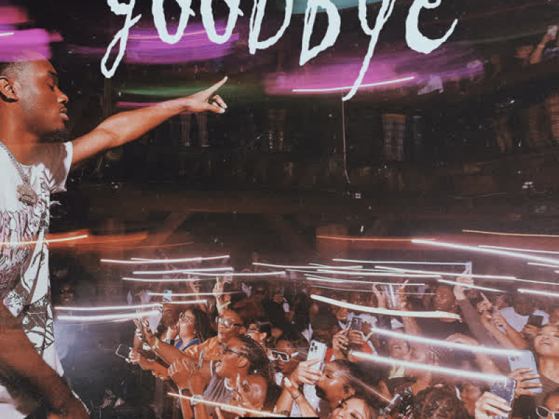 GOODBYE (Single)