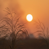 私の手を握って (Single)