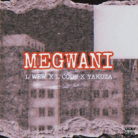 Megwani (Single)