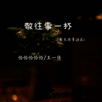 敬往事一杯 (余生很贵语录) (Single)