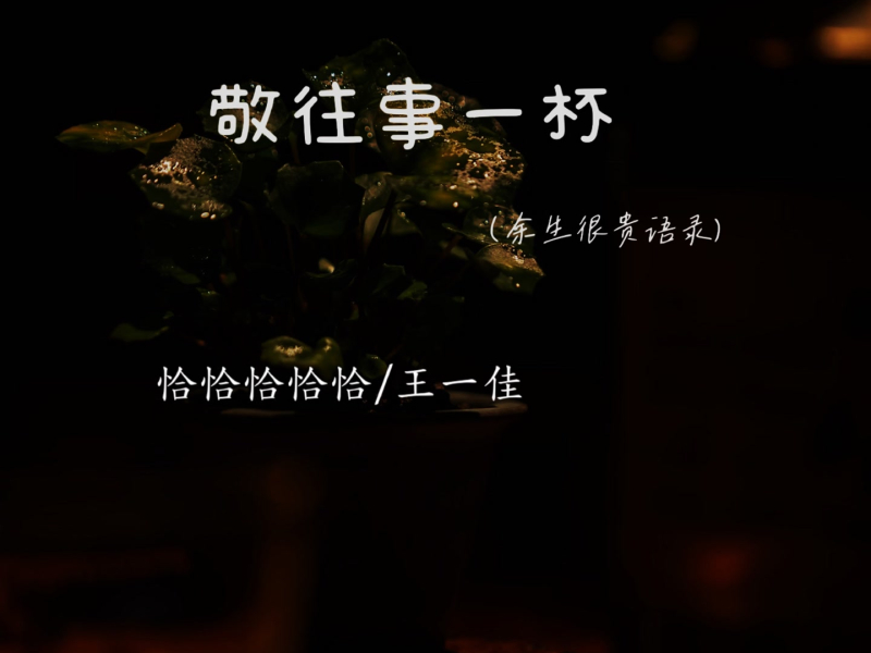 敬往事一杯 (余生很贵语录) (Single)