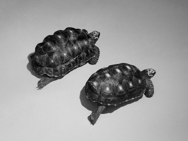 Love Is A Stillness (Single)