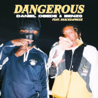 Dangerous (Single)