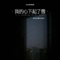 我的心下起了雪 (2025说唱版) (Single)