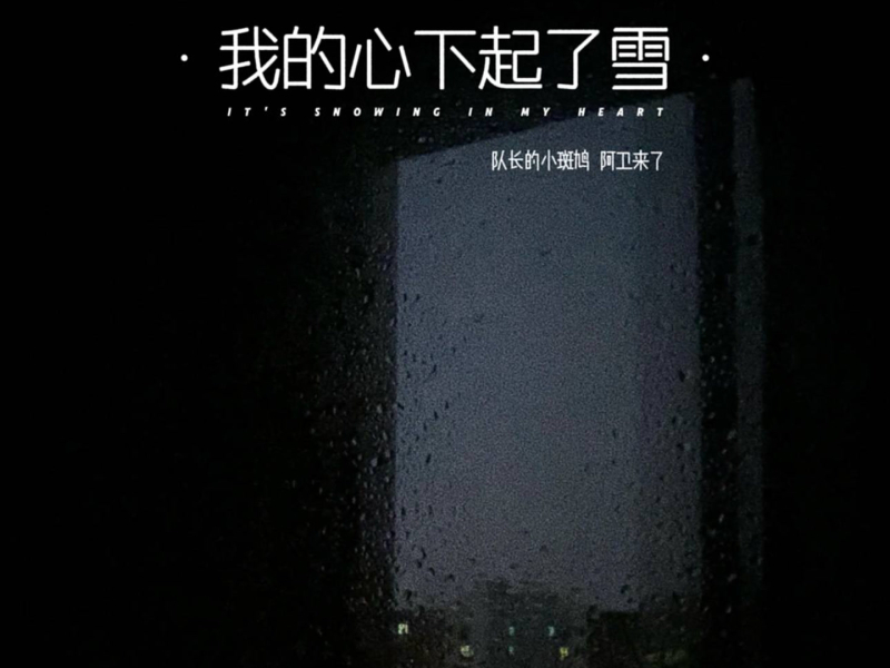 我的心下起了雪 (2025说唱版) (Single)