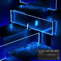 Now Or Never (Single)