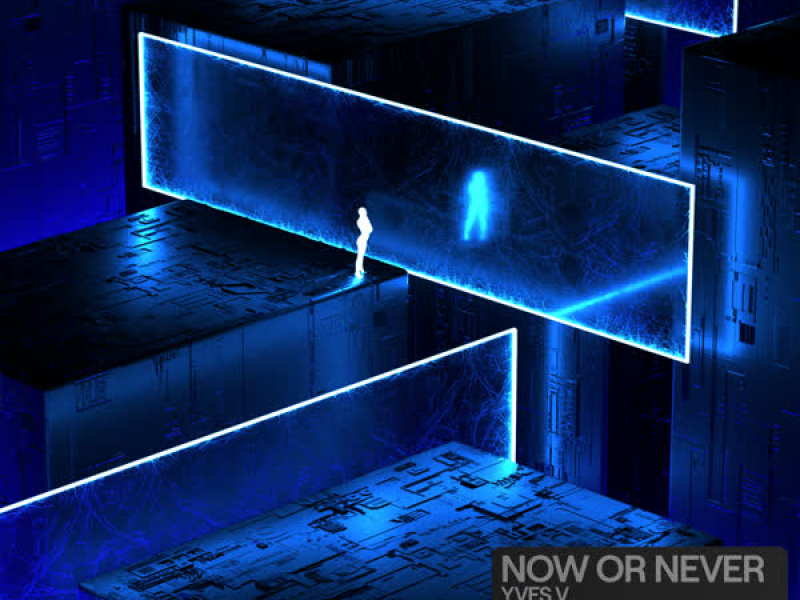 Now Or Never (Single)