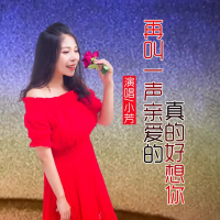 再叫一声亲爱的真的好想你 (DJ版) (Single)