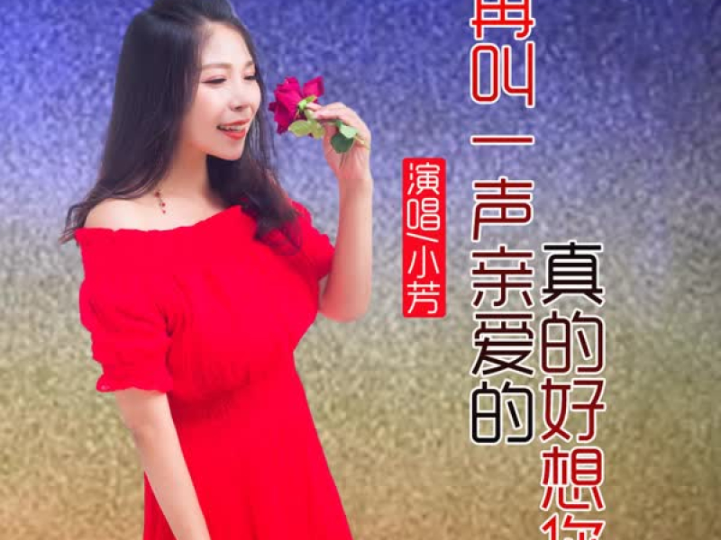 再叫一声亲爱的真的好想你 (DJ版) (Single)