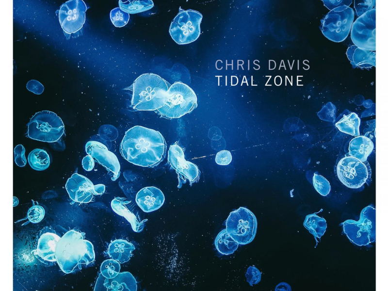 Tidal Zone (Single)