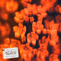 She's All I Wanna Be (Single)