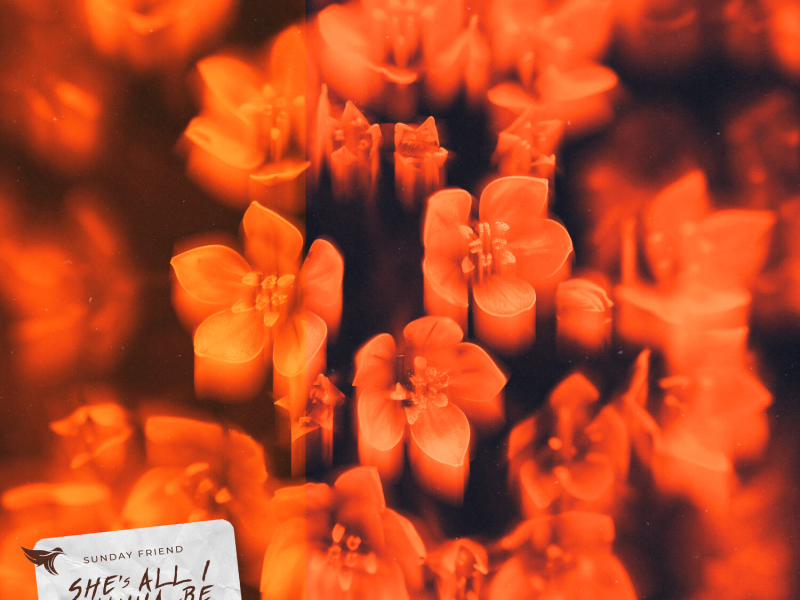 She's All I Wanna Be (Single)