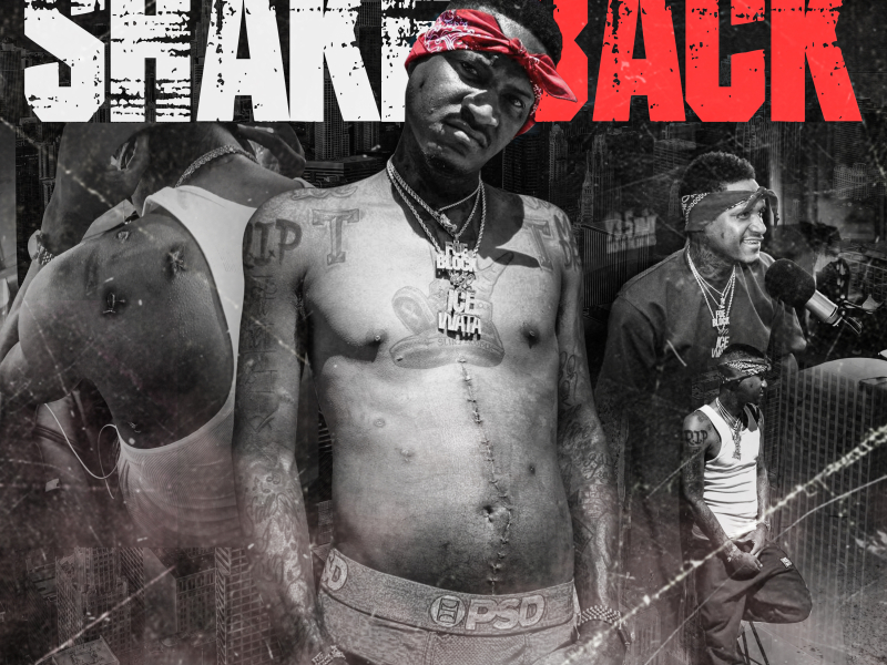 Shake Back