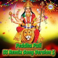 Peddha Puli (DJ Remix Song Version 5) (Single)