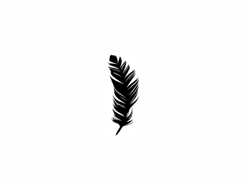 Don't Take Your Love (Single)