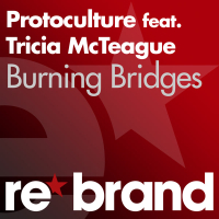 Burning Bridges (Single)