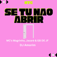 Se tu não abrir (Single)