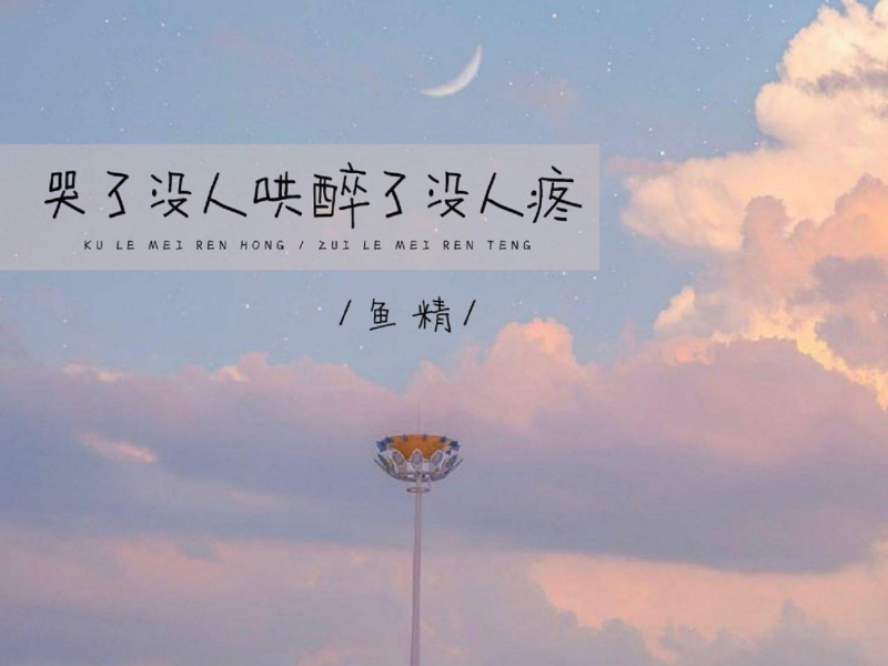 哭了没人哄醉了没人疼 (DJ默涵版) (Single)