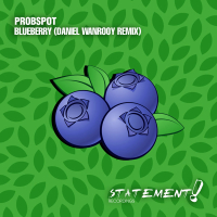 Blueberry (Daniel Wanrooy Remix) (Single)
