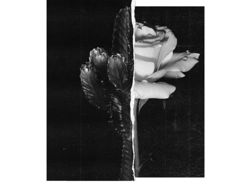 702 (Acoustic) (Single)