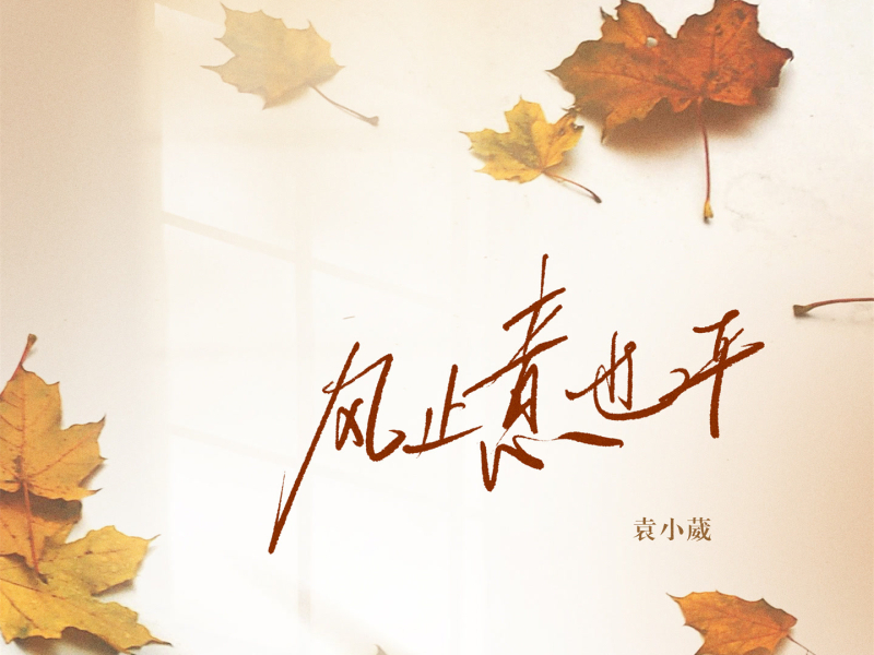 风止意也平 (Single)