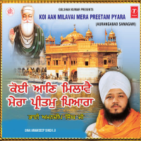 Koi Aan Milavei Mera Preetam Pyara Vol-34 (Single)