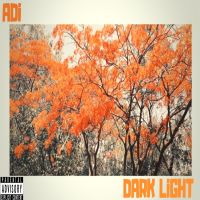 DarkLiGHT (Single)