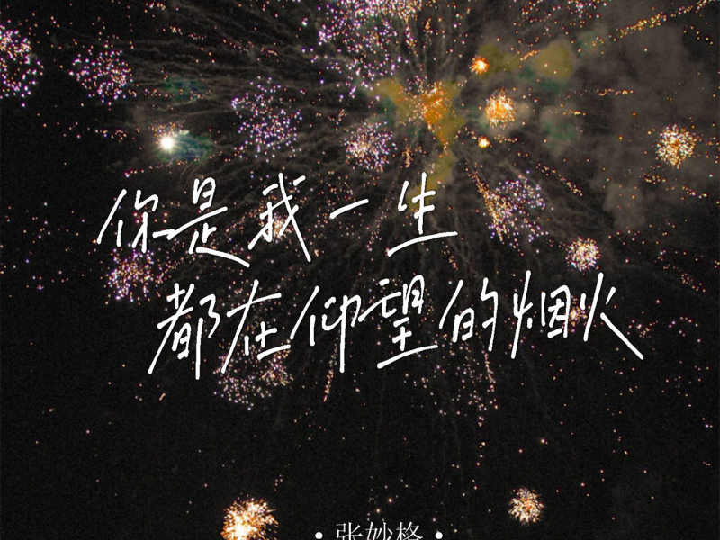 你是我一生都在仰望的烟火 (Single)