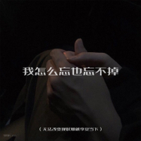 我怎么忘也忘不掉 (无法改变现状那就享受当下) (Single)