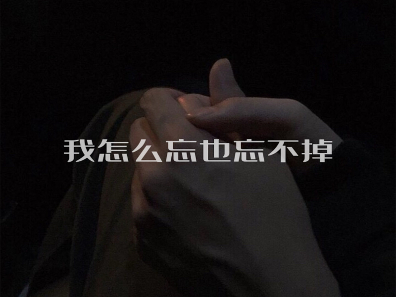 我怎么忘也忘不掉 (无法改变现状那就享受当下) (Single)