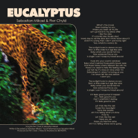 Eucalyptus (Single)