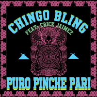 Puro Pinche Pari (Single)