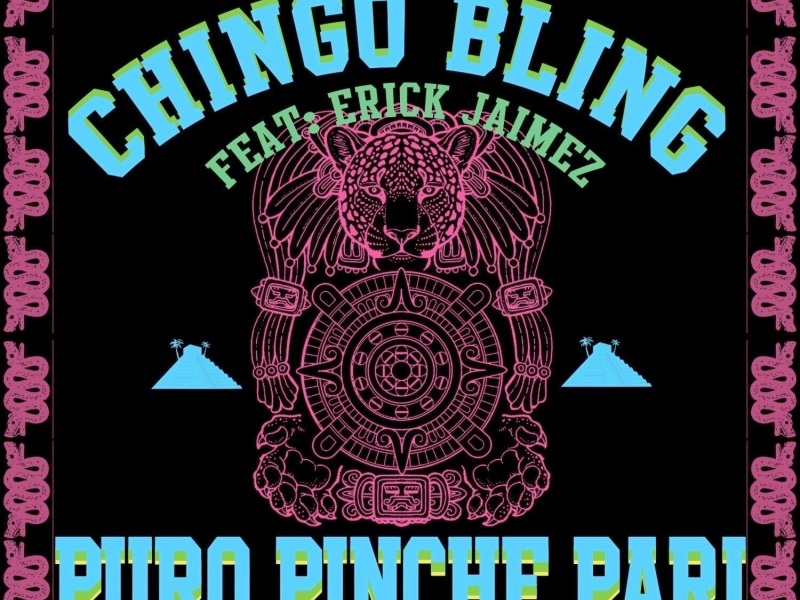 Puro Pinche Pari (Single)