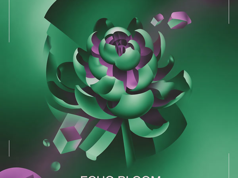 Canvas of Pictor (Single)