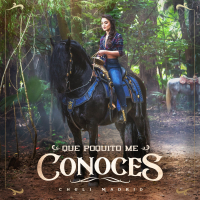 Que Poquito Me Conoces (Single)