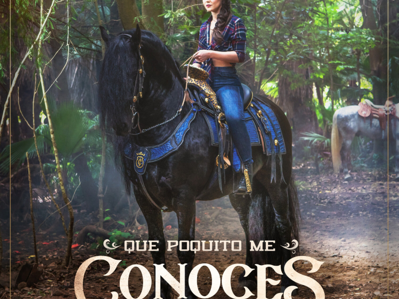 Que Poquito Me Conoces (Single)