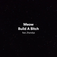 Build a Bitch (Single)