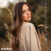 Coldplay auf der Autobahn (Single)